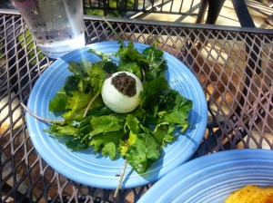 Truffled soft boiled eggs on a bed of kale with a lemon vinaigrette? HELL YEA! Now we're healthy!